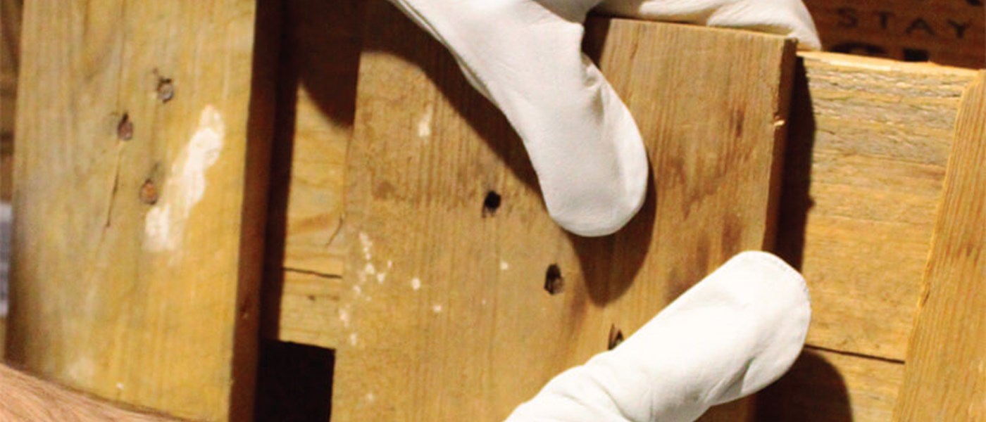 Lacuna kožne rukavice