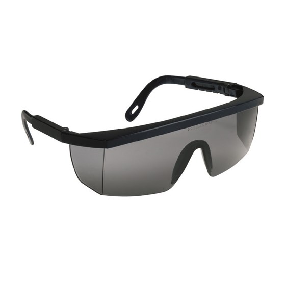 Zaštitne naočale ECOLUX tamne