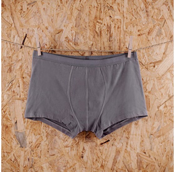 Muške bokserice LAHORICE sive